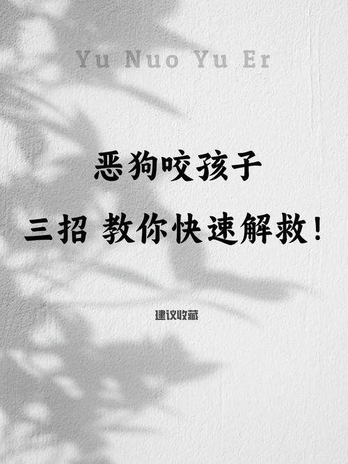 视频：狗狗为什么咬同类狗狗呢？