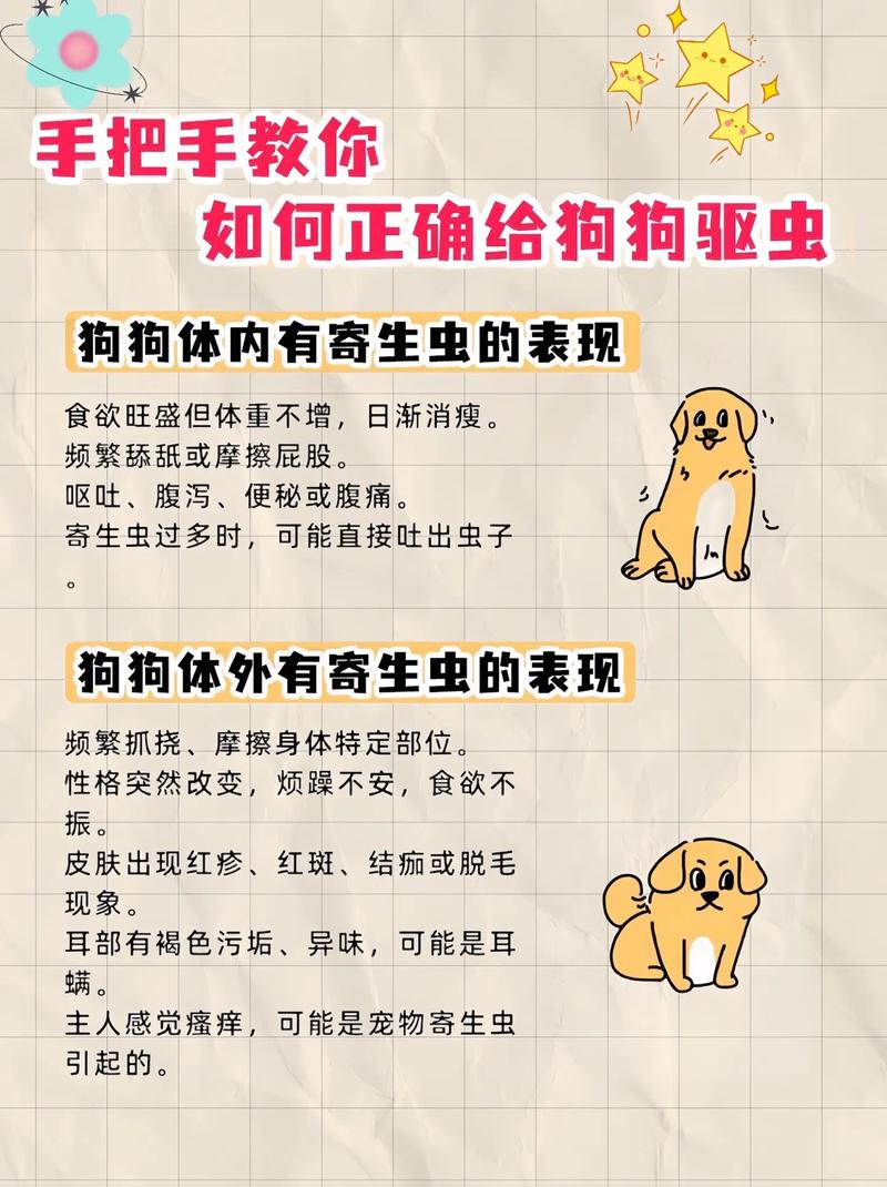 视频：狗狗体内驱虫后多久可以喝水？