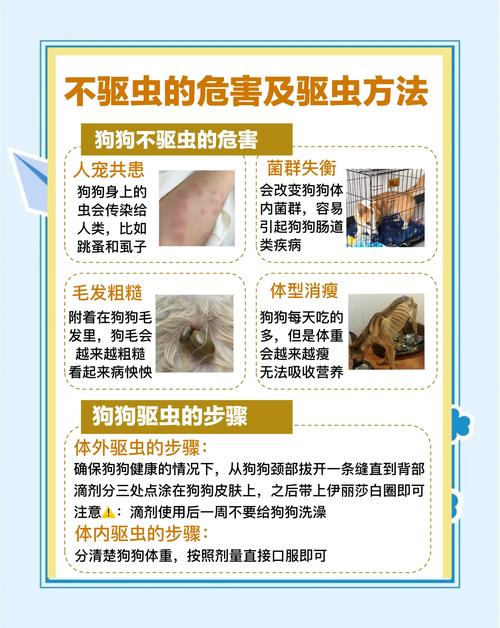 视频：狗狗体外驱虫1天就洗澡会怎么样？