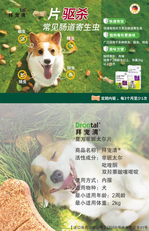 视频：狗狗体外驱虫药哪个牌子好？