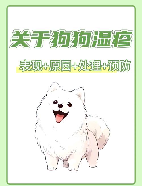 视频：狗狗大腿内侧有红疹子是怎么回事？