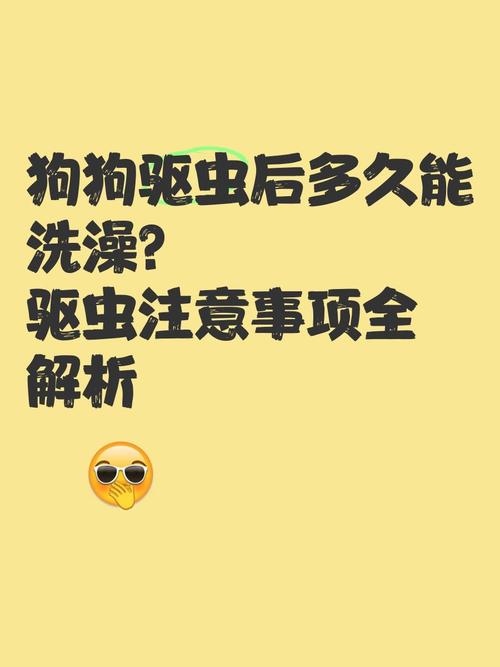 视频：狗狗洗澡后多久能驱虫？
