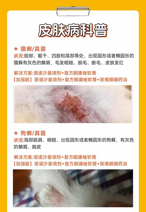 视频：狗狗身上多处长癣用什么药？