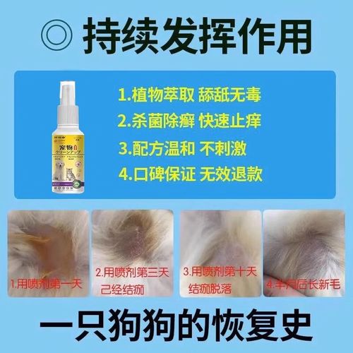 视频：狗狗长湿疹用什么药治疗？