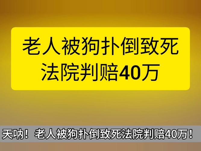 宠物狗被撞死后，主人索赔火化费、“超度”费？法院判了