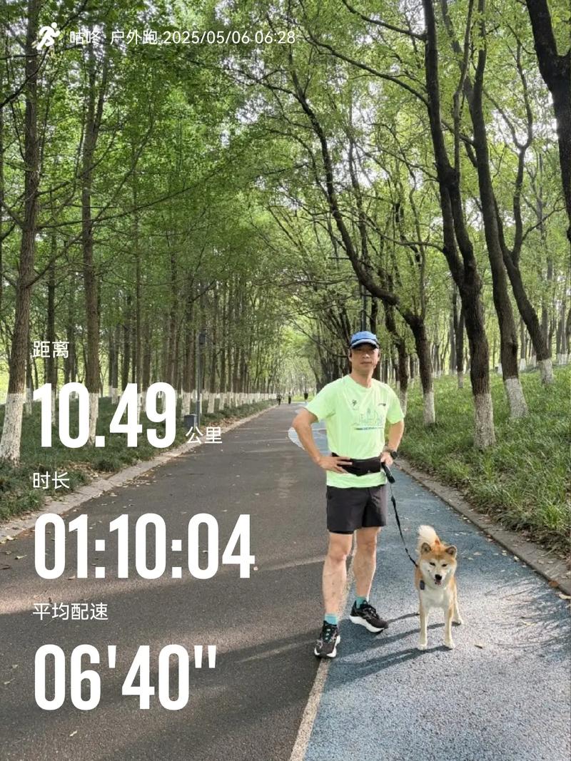 柴犬会在跑步机上跑步锻炼。网友：狗都比我自律