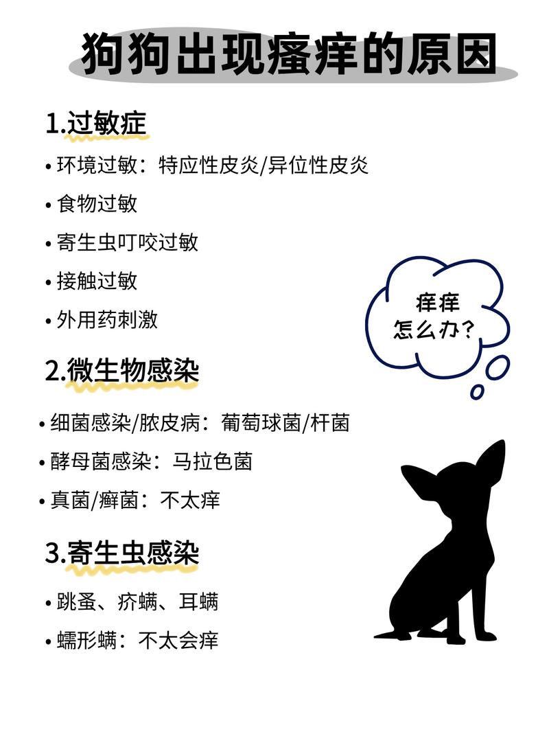 狗狗得皮肤病很痒该怎么止痒呢？