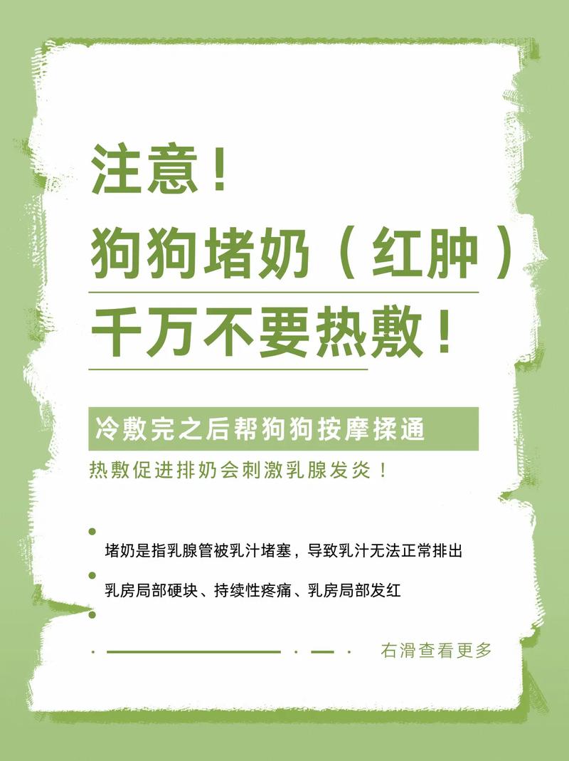 狗狗涨奶严重怎么办？从减少泌乳到物理缓解全攻略