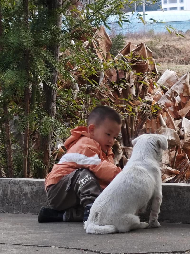 网友在狗狗幼儿园工作，一回家自家狗就闻她！