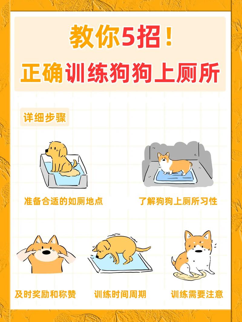 视频：可以将狗狗放在卫生间养吗？