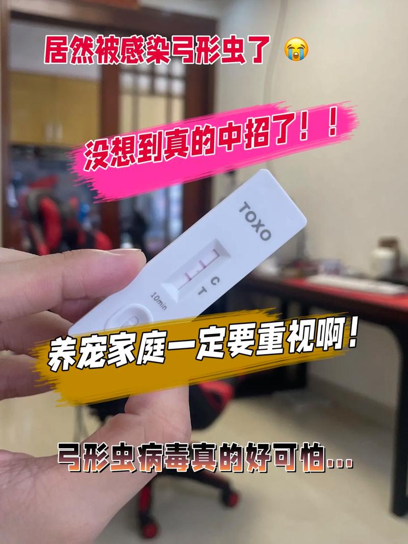 视频：检查狗狗有没有感染弓形虫多久会出结果？