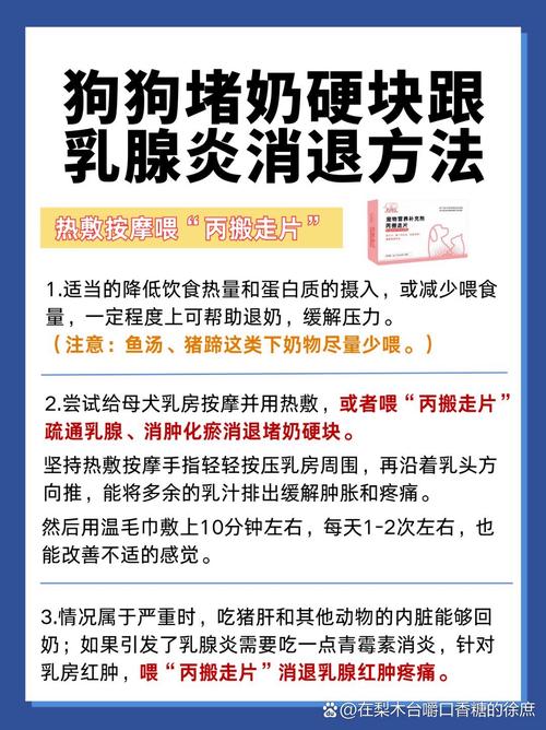 视频：狗狗乳腺结节该怎么办呢？
