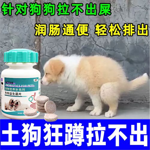 视频：狗狗便秘怎么促进排便呢？