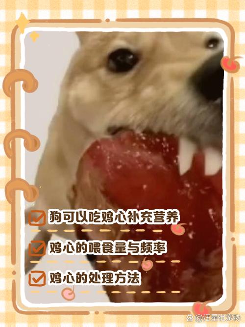 视频：狗狗吃犬心保怎么样？