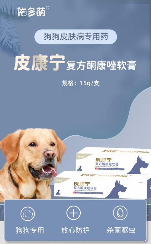 视频：狗狗得了皮肤病用什么药治疗呢？