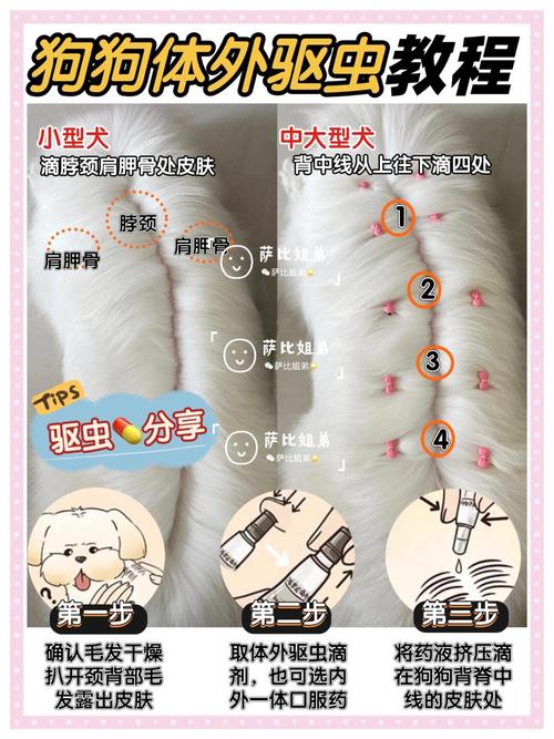 视频：狗狗洗澡后多久能驱虫？