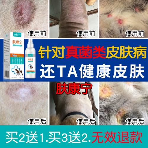 视频：狗狗癣癞用什么药治疗呢？