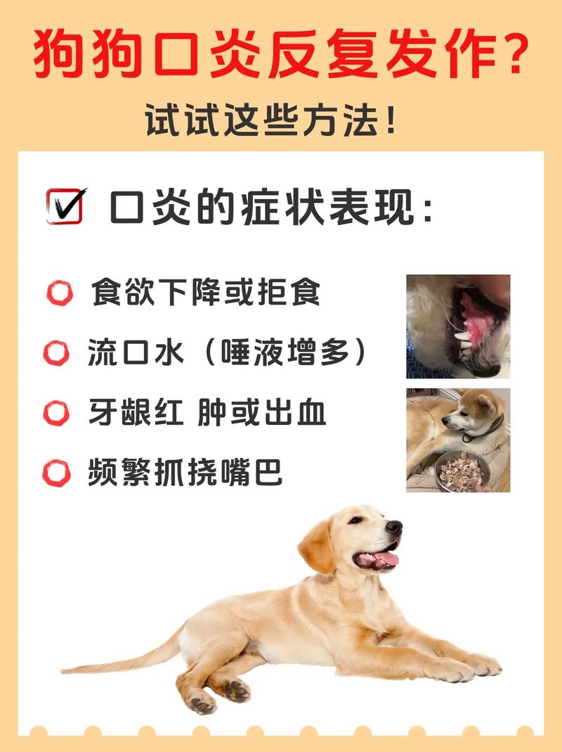 视频：狗狗的嘴巴周围又红又痒是怎么回事？