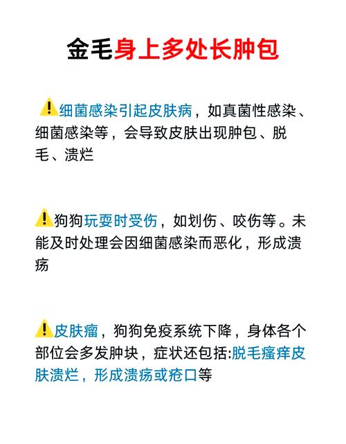视频：狗狗皮肤发红发痒还掉毛是怎么了？