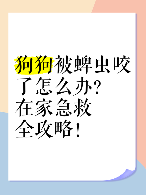 视频：狗狗被蜱虫叮咬后怎么处理？