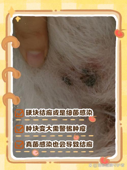 视频：狗狗身上出现结痂和硬块是怎么回事？