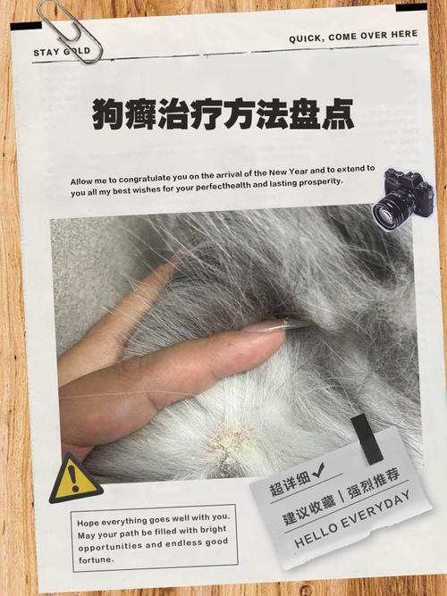 视频：狗狗身上多处长癣用什么药？