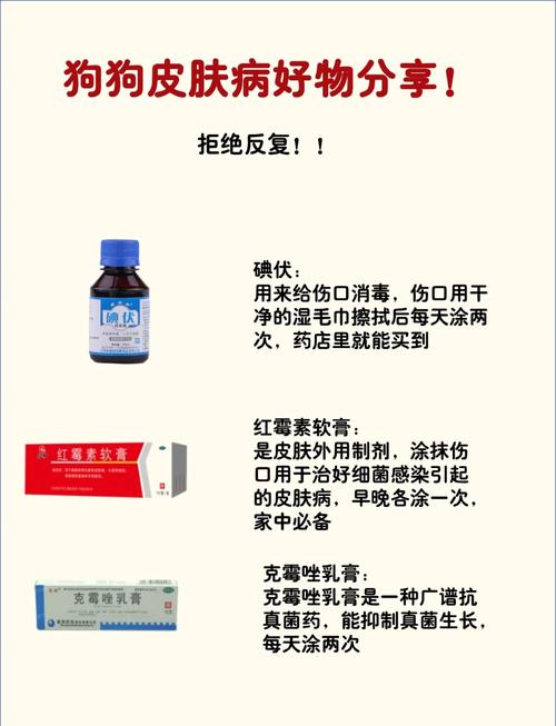 视频：狗狗身上有皮肤病用什么药呢？