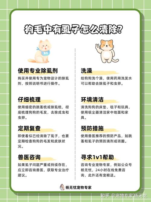 视频：狗狗身上有虱子该怎么做？
