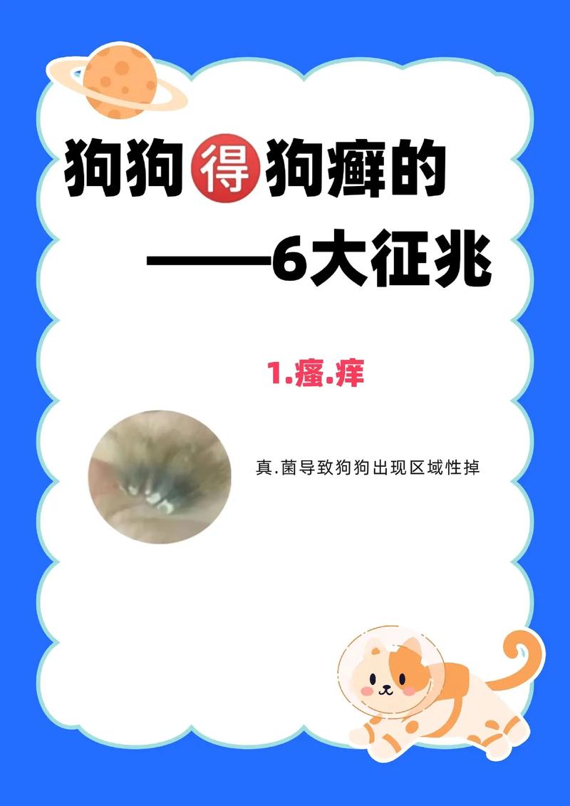 视频：狗狗身上瘙痒、抓挠、掉毛是怎么回事？