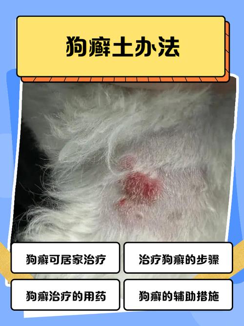 视频：狗狗身上长癣怎么办？用什么药呢？