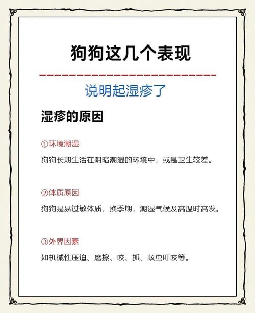 视频：狗狗长湿疹怎么样治疗？