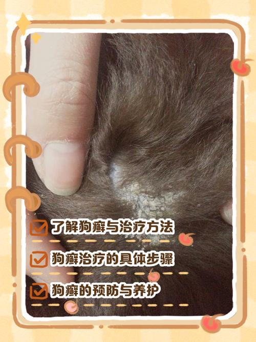 视频：狗狗长癣怎么去除干净呢？