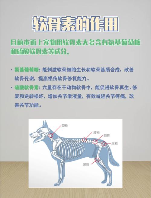 视频：狗狗需要长期吃软骨素吗？