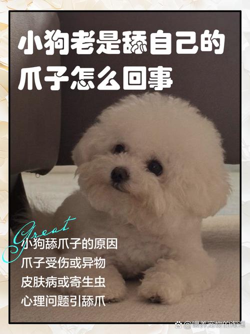 视频：被狗狗舔了手会怎么样？