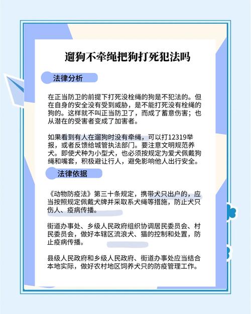 重庆恶犬伤人事件：遛狗不拴绳，逍遥法外3个月