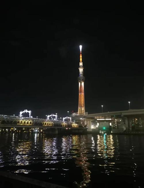 东京冬季旅游攻略，最佳冬季景点推荐