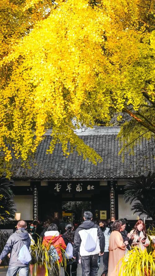 杜甫草堂博物馆 成都杜甫草堂博物馆