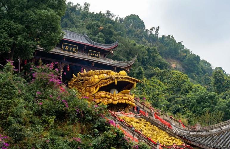 泸州不收费景点(泸州景区有哪些景点门票多少)