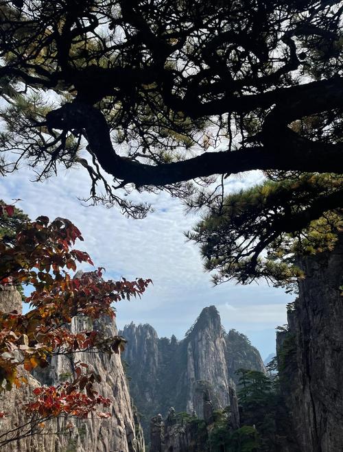 黄山市秋天旅游景点(黄山秋季旅游攻略)