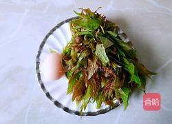 炸香椿的做法图解1