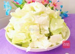 番茄炒莲花白的做法图解3