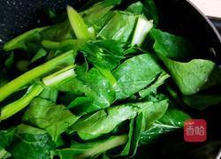 耗油菜苔的做法图解9