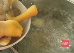 白萝卜鸡汤的做法图解5