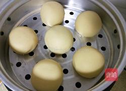 玉米面馒头的做法图解17