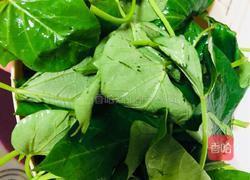 清炒红薯叶的做法图解1