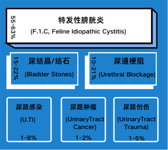 干货！猫咪尿路感染用药全攻略，建议收藏