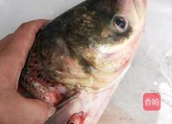 砂锅鱼头汤的做法图解1