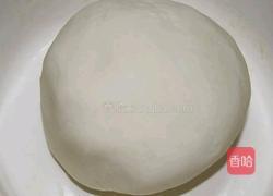 蜜制酱肉包的做法图解6