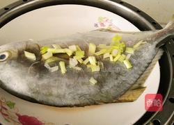 清蒸鱼的做法图解5