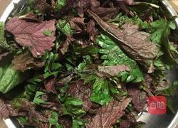 家常紫苏粉丝焖鸭的做法图解6